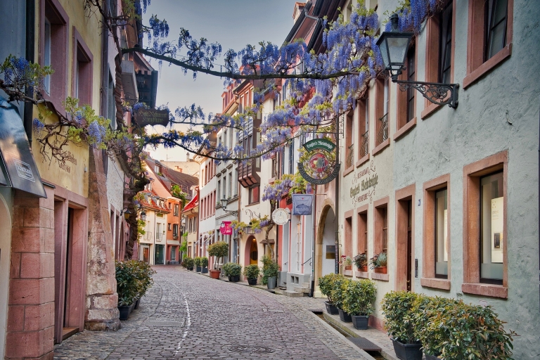 Leg de meest fotogenieke plekjes van Freiburg vast met een localFreiburg: begeleide schilderachtige wandeltocht met een local