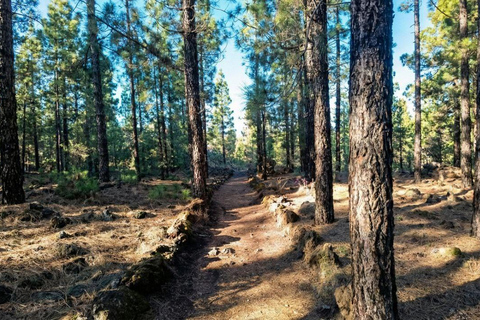 Private Teide & North Tenerife: Volcano, Valleys & Old Towns Afternoon Tour with Sunset Views