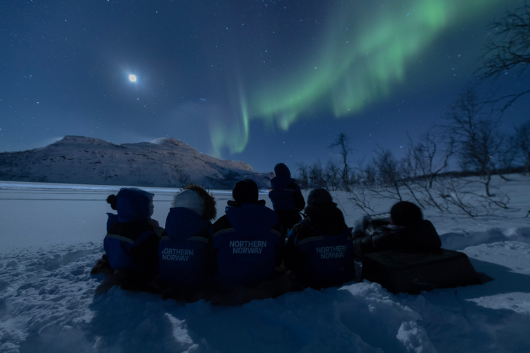 Tromso: Northern Lights Chase per bus in ENG, FR of ESNoorderlichttour met Engelssprekende gids