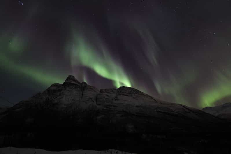 Tromssa: Northern Lights Hunt englanniksi, ranskaksi tai espanjaksi |  GetYourGuide