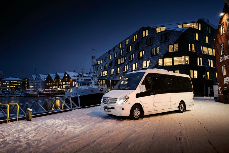 Tromso: Northern Lights Chase autobusem w ENG, FR lub ESWycieczka na zorzę polarną z anglojęzycznym przewodnikiem