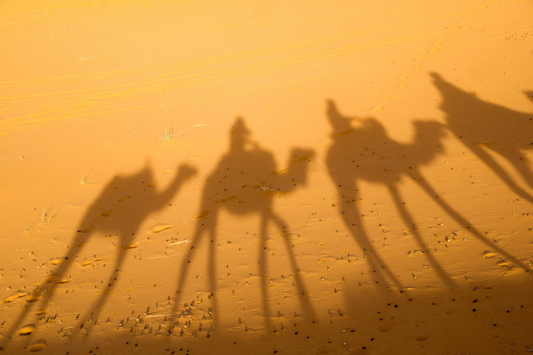 De Marrakech: Acampamento de luxo no deserto de Zagora de 2 diasDe Marrakech: acampamento de 2 dias no deserto de Zagora