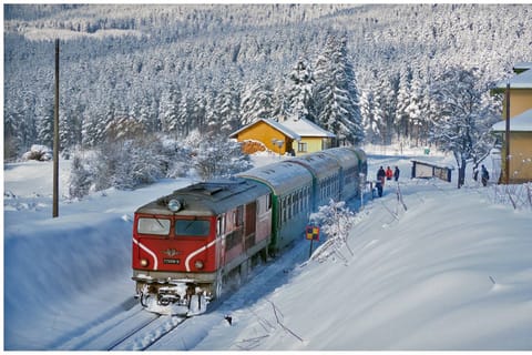 From Sofia: Rila Monastery, Scenic Train Ride & Bansko Town