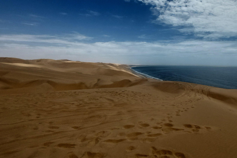 Walvis Bay: Sandboarding & Sandwich Harbour Combo Tour