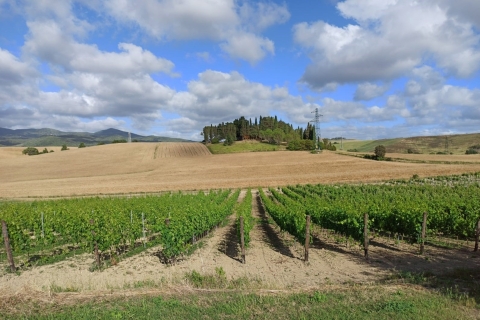 Von Florenz aus: Pisa + Siena mit Weinverkostung im Chianti