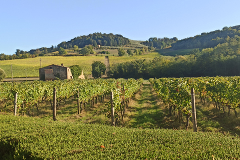 Florence: San Gimignano and Chianti Wine Tasting with Lunch Chianti & San Gimignano Private Tour with lunch & tasting