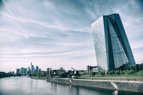 Frankfurt: Private Guided Tour with Transportation