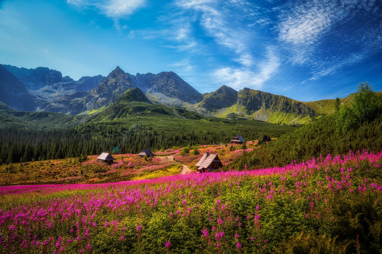 Cracovia: tour privado de un día a las montañas Tatra y Zakopane