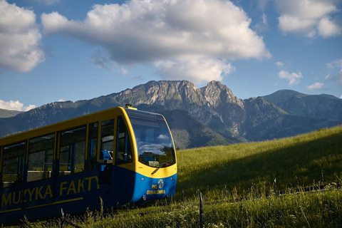 Krakau: Tatra-gebergte en Zakopane-dagtour per dag