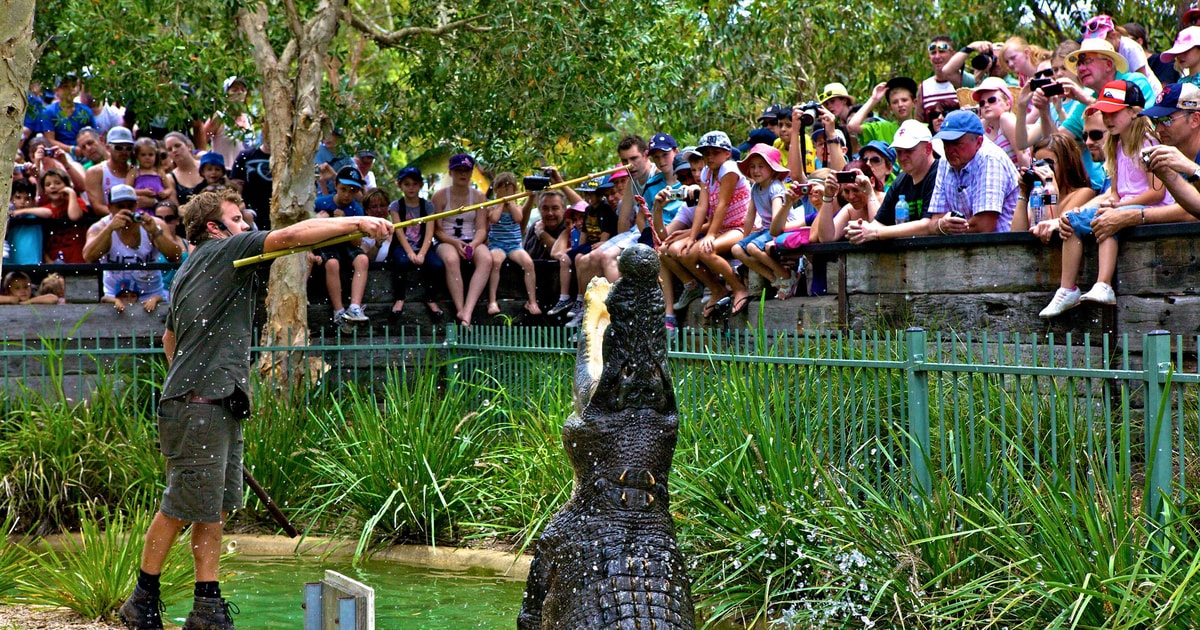 Somersby: Australian Reptile Park Day Pass - 9am to 5pm | GetYourGuide