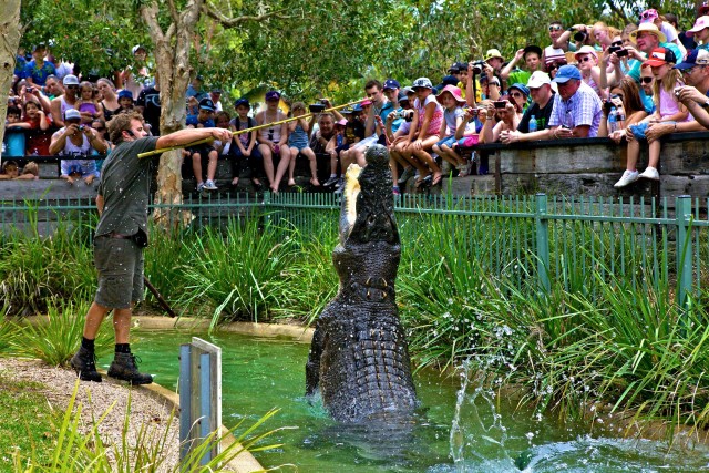 Visit Somersby Australian Reptile Park Day Pass - 9am to 5pm in Gosford, New South Wales