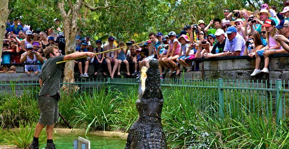 Somersby: Australian Reptile Park Day Pass - 9am to 5pm
