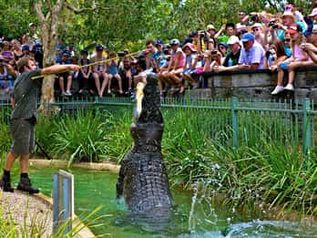 Somersby: Australian Reptile Park Day Pass - 9am to 5pm