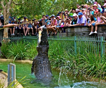 Australian Reptile Park Day Pass - 9h às 17h