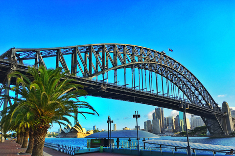 Sydney : Tour de ville d'une journée complète avec guide privé et déjeunerSydney : Tour de ville incontournable avec déjeuner (journée complète)