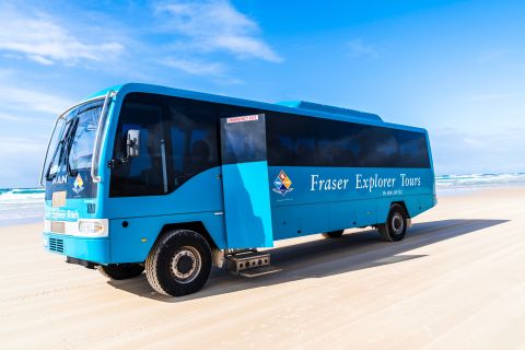 Ab Hervey Bay: K'gari, Fraser Island -Tagestour im Reisebus