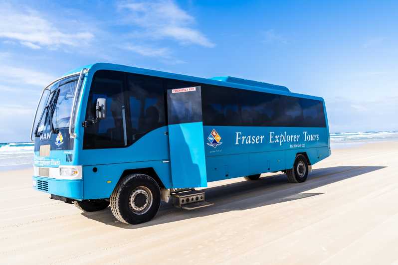 Van Hervey Bay: K'gari, Fraser Island-dagtour met bus