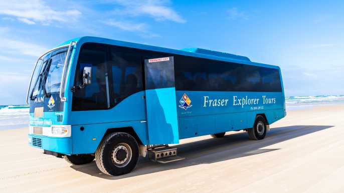 Desde Hervey Bay: K'gari, excursión en autocar de día completo a Fraser Island