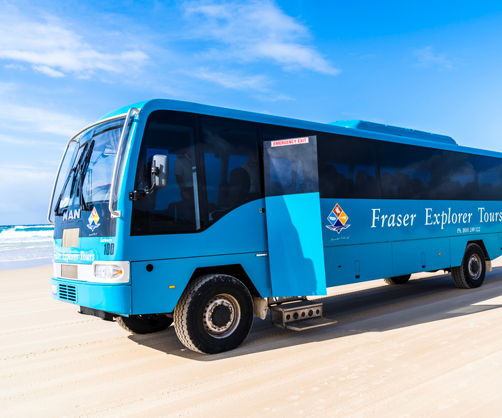 From Hervey Bay: K'gari, Fraser Island Full-Day Coach Tour