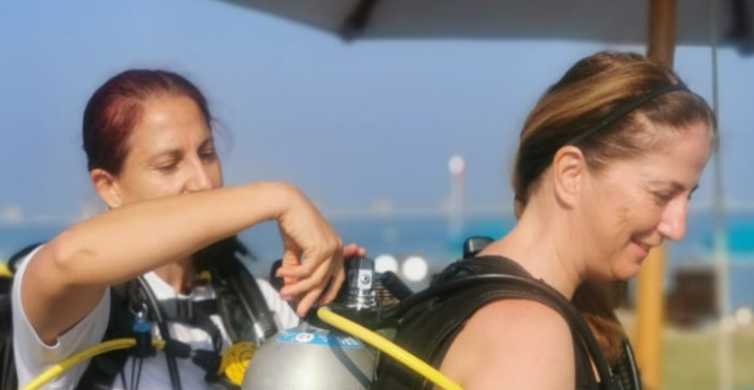 Dubai JA's House Reef Beginner Scuba Diving Experience GetYourGuide