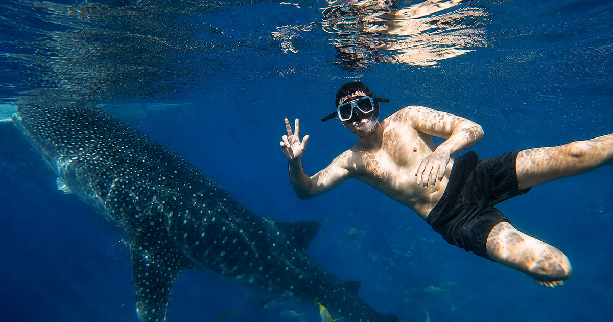 Cebu: Whale Shark, Moalboal & Aguinid + Free GoPro - 2026