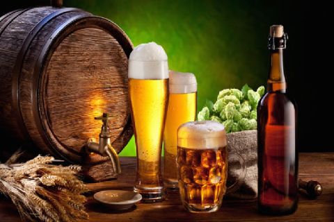 Poznan: City and Brewery Private Walking Tour with Beer
