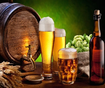 Poznan: City and Brewery Private Walking Tour with Beer