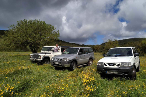 Zakynthos: off-road jeeptour