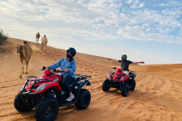 Dubai: quadsafari in woestijn, kameelrit, sandboarding & BBQGedeelde tour met gedeelde quadrit