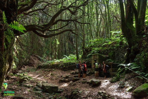La Palma : circuit de trekking à La Zarza