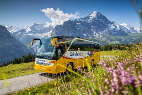 Berner Oberland Pass : 1ère classe - Titulaire d'un Swiss Travel PassLaissez-passer 6 jours pour l'Oberland bernois (détenteur du STP) en première classe