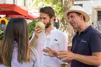 Da Aix-en-Provence, Arles, Les Baux e Saint-Rémy Day Tour - Housity