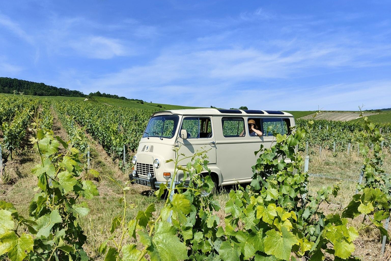 From the vines to the Champagne glass with a vintage car The heart of the Champagne region
