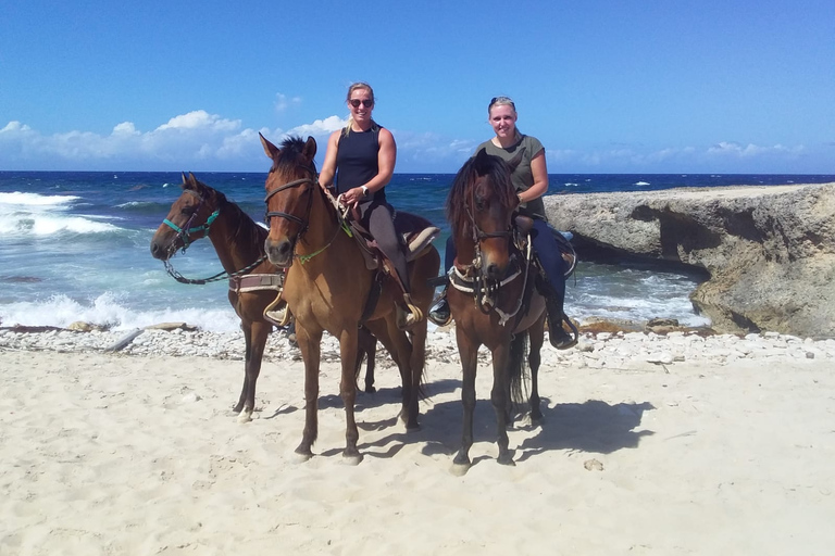 Visite privée du parc national d'Aruba Arikok et de l'équitation sur la plagePlage d'équitation et parc national d'Arikok