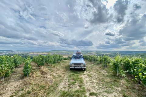 From Epernay: Champagne Tour in a Vintage Car with Tastings
