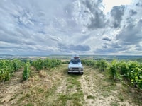 De Epernay, visite de Champagne dans une vieille voiture avec dégustations - Hizvo