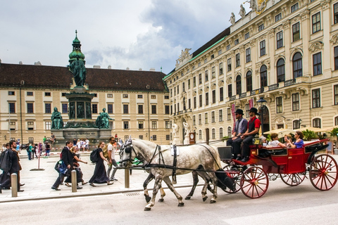 Viena: Caminhada expressa com um morador local em 60 minutosViena: 60 minutos de caminhada com um morador local