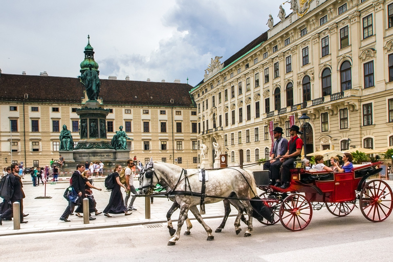 Vienna: Passeggiata express con un abitante del posto in 60 minutiVienna: 60 minuti a piedi con un abitante del posto