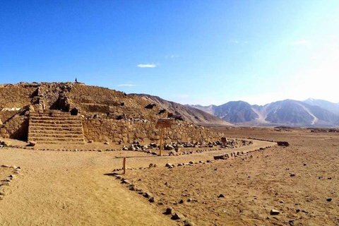 Excursion d&#039;une journée à Caral et Bandurria