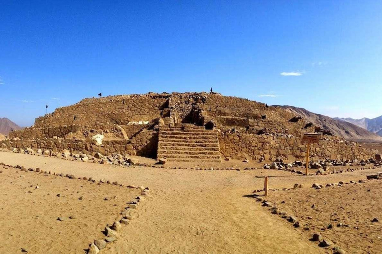 Excursion d&#039;une journée à Caral et Bandurria