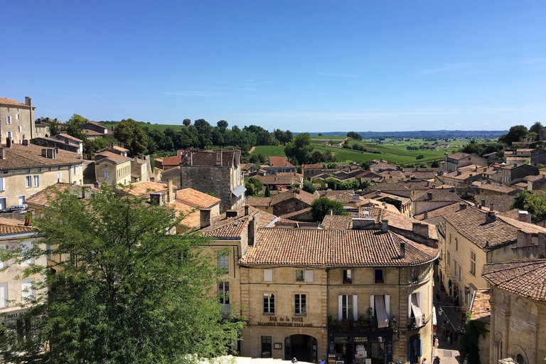 Da Bordeaux: Tour guidato di degustazione dei vini di Saint-Emilion