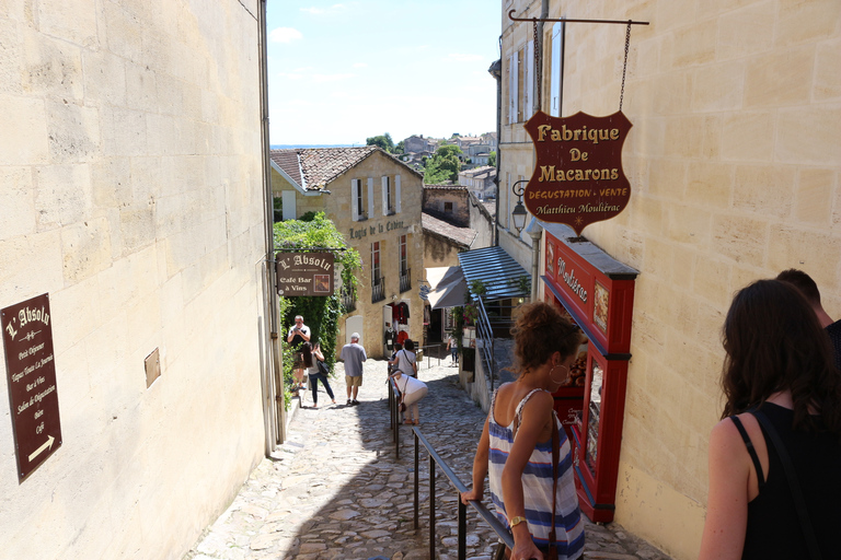 Da Bordeaux: Tour guidato di degustazione dei vini di Saint-Emilion