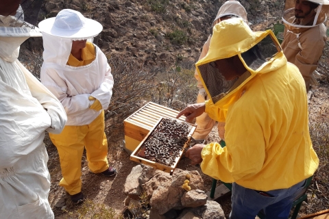 La Gomera: Geführte Blumentour mit Schmetterlingen und BienenLa Gomera: Von Blume zu Blume geführte Tour