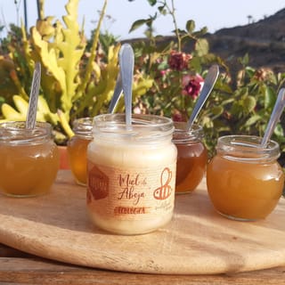 La Gomera: Flower Guided Tour with Butterflies and Bees