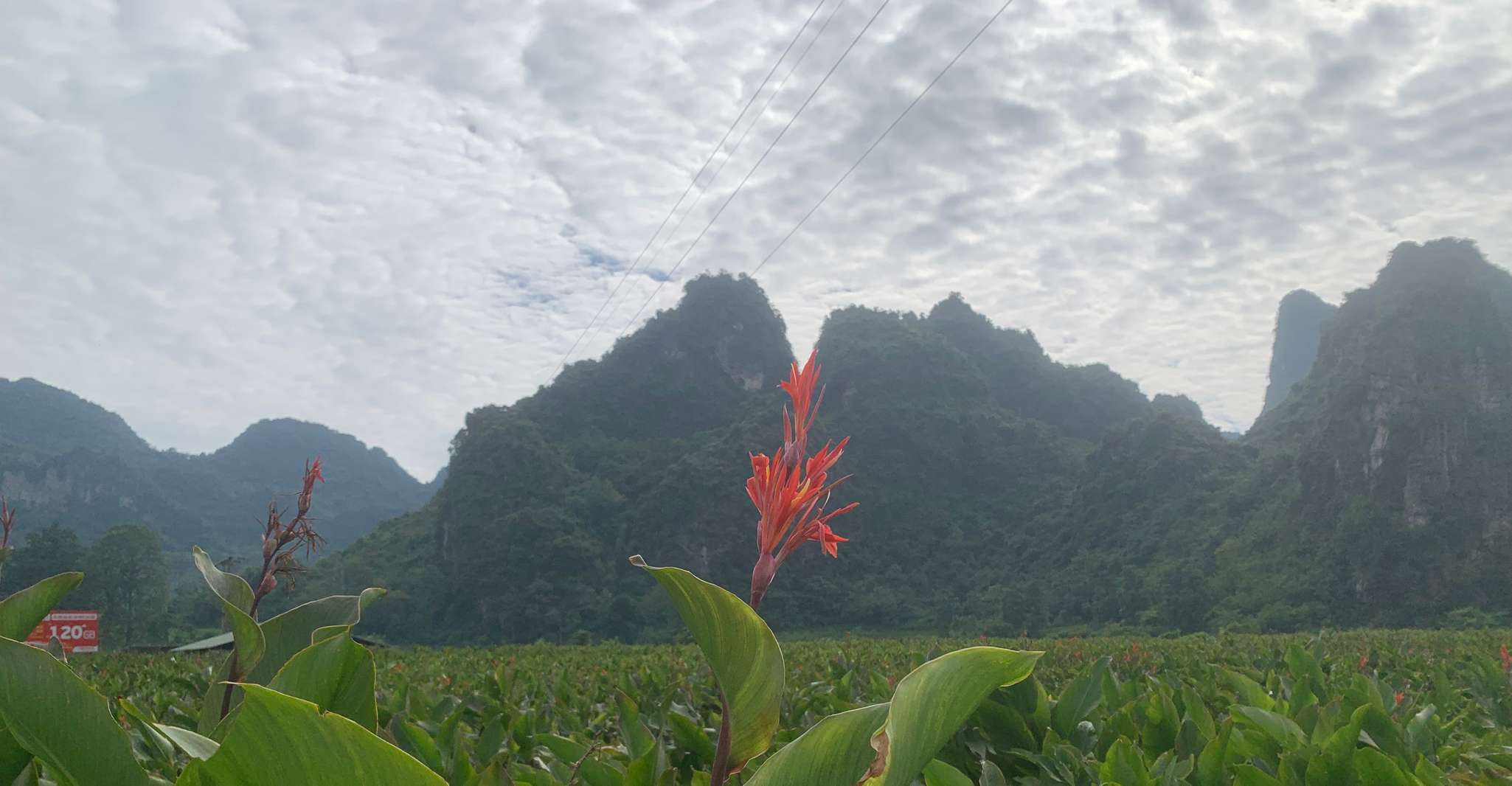 Cao Bang & Ban Gioc Waterfall Day Tour by Motorbike - Hizvo