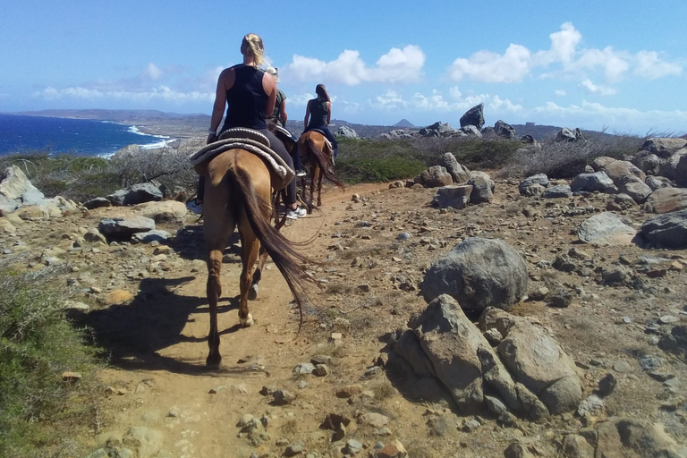 Visite privée du parc national d'Aruba Arikok et de l'équitation sur la plagePlage d'équitation et parc national d'Arikok