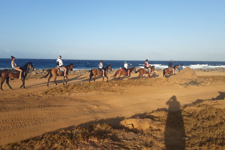 Tour privado a caballo por la playa y el parque nacional de Aruba ArikokPlaya para montar a caballo y Parque Nacional Arikok