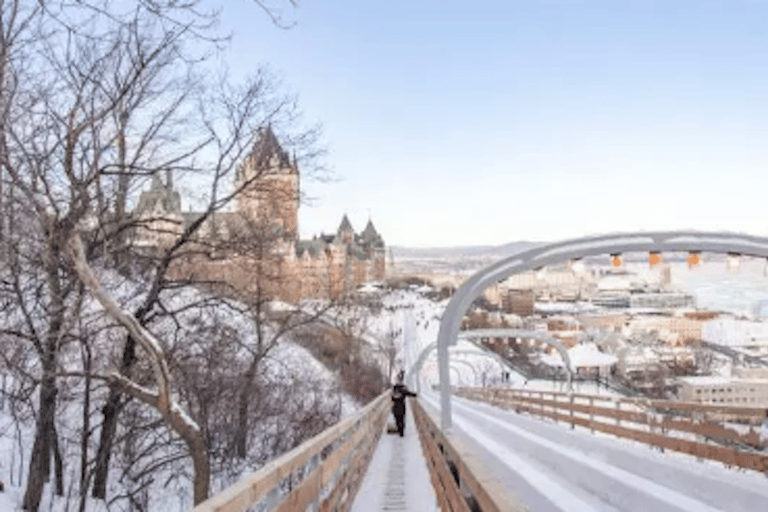 Quebec City: Old Quebec Schlittenfahrt mit heißer Schokolade