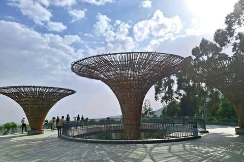 Addis Ababa: Layover Tour with Merkato & Coffee Ceremony