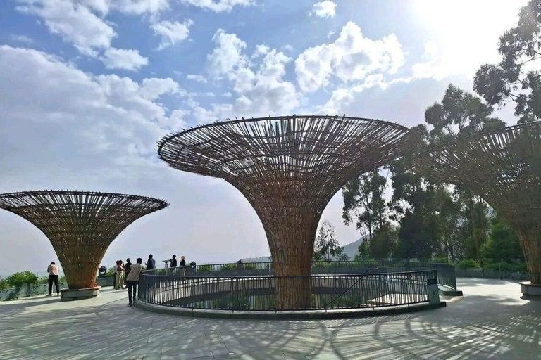 Addis Ababa: Layover Tour with Merkato & Coffee Ceremony
